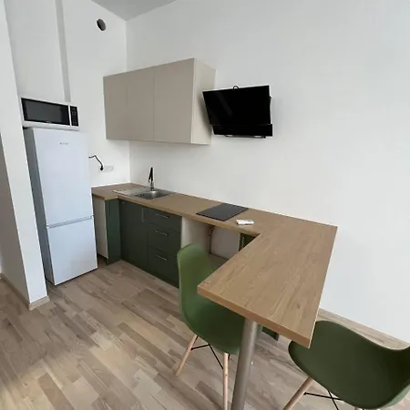 Apartment Comfort Olive 65 Odessa